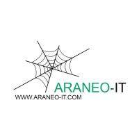 araneo-it logo image