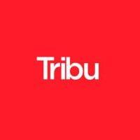 tribu | marketing + advertising + graphic design