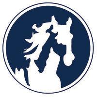 white horse auto wash logo image