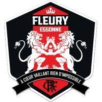 fc fleury 91 logo image