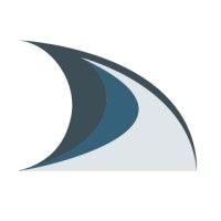 silver fin software logo image