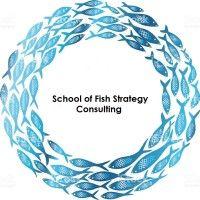 school of fish strategy consulting logo image