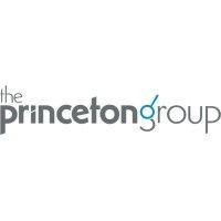 the princeton group logo image