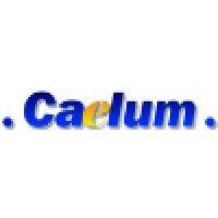 caelum research corporation logo image