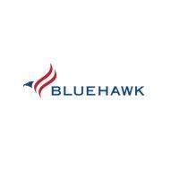 bluehawk llc, intelligence services logo image