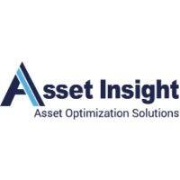 asset insight logo image