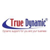 true dynamic ltd logo image