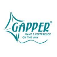 gapper international (gapper国际义工旅行) logo image