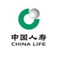 china life property and casualty insurance company limited logo image