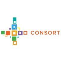 consort partners logo image