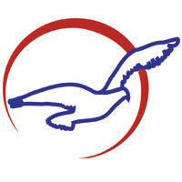 air peace limited logo image