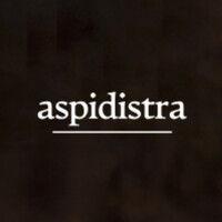 aspidistra logo image