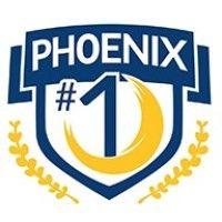 phoenix elementary school district #1 logo image