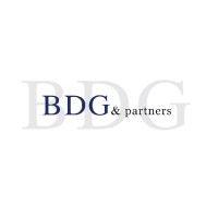 bdg & partners logo image