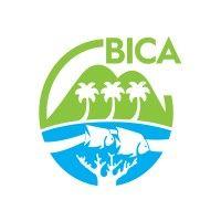 bay islands conservation association (bica) logo image