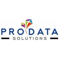 pro data solutions logo image