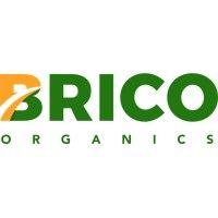 brico logo image