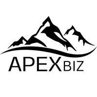 apex biz solutions logo image