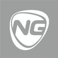 ng serv ltd logo image