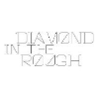 diamond in the rough llc