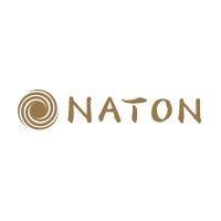 naton technology group logo image