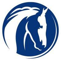 world horse welfare logo image