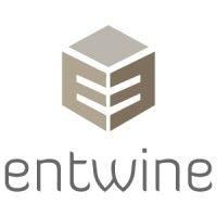 entwine solutions llp logo image