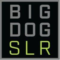 big dog solar energy logo image