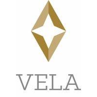 vela group logo image