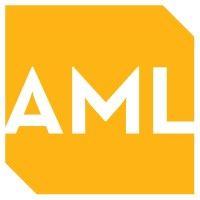 amplified media logic logo image