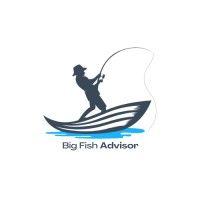 big fish advisor services