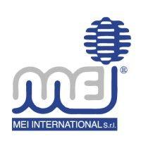 mei international s.r.l. logo image