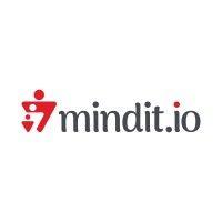 mindit.io logo image