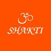 shaktimat logo image