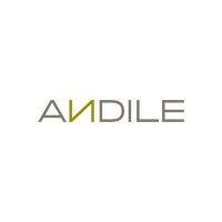 andile logo image