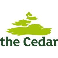 the cedar buying group, inc.