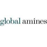 global amines company logo image