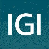 igi cybersecurity logo image