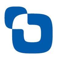 sumitomo mitsui ds asset management co., ltd. logo image