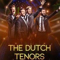 the dutch tenors logo image