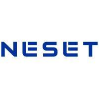 neset consulting services logo image