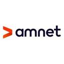 logo of Amnet Group