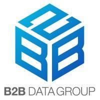 b2b data group logo image