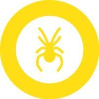 yellow spider ltd logo image