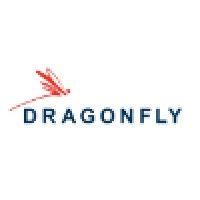 dragonfly, llc