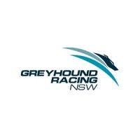 greyhound racing nsw