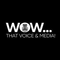 wow... that voice & media! logo image