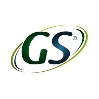 gs de méxico logo image