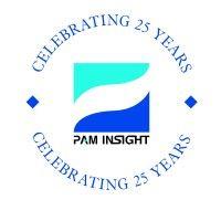 pam insight ltd logo image