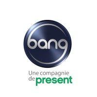 bang industries logo image